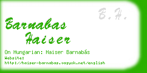 barnabas haiser business card